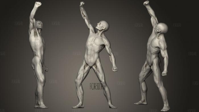 Full Body Muscles 3d stl модель для ЧПУ